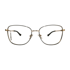 Armação de grau 1808